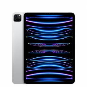 全新 IPad Pro 11-inch 4代 WIFI 2TB Silver/SPACE Gray