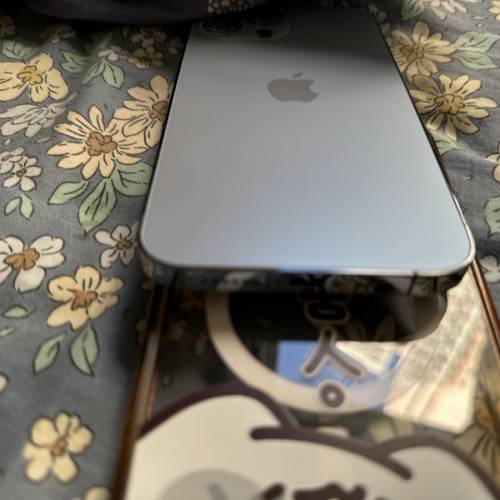 iPhone13promax港版行貨256GB