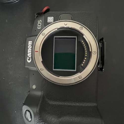 canon eos rp + rf 24 - 105 F4L + CANON EF-EOS R Mount Adapter