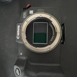 canon eos rp + rf 24 - 105 F4L + CANON EF-EOS R Mount Adapter