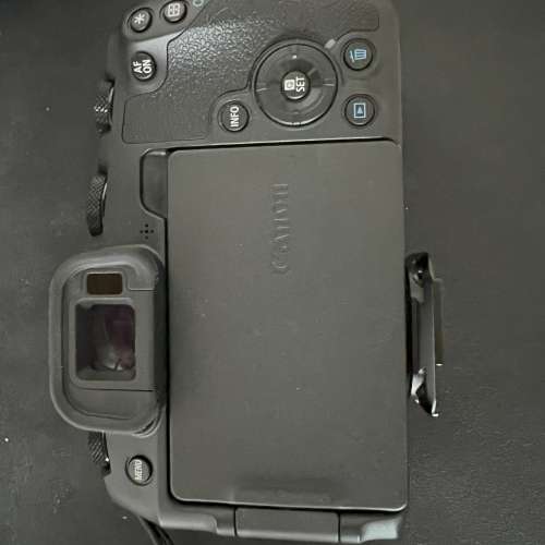 canon eos rp + rf 24 - 105 F4L + CANON EF-EOS R Mount Adapter