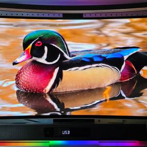 Samsung Odyssey G8 OLED (34 吋 WQHD 3440 x 1440) 175Hz