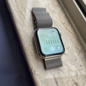 中國版Apple Watch S5 44mm 不銹剛銀色