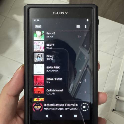 Sony NW-WM1AM2 黑磚2