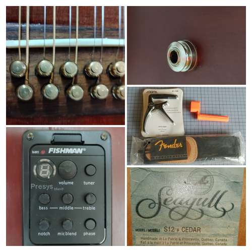 Seagull S12 + Cedar (Restoration Project/修復項目)