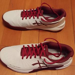 Asics Male Gel-Challenger tennis shoes 男裝網球鞋
