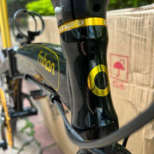 風行FNHON DG2018 TIAGRA 10速 碟剎 20吋 451 鋁合金 折叠車