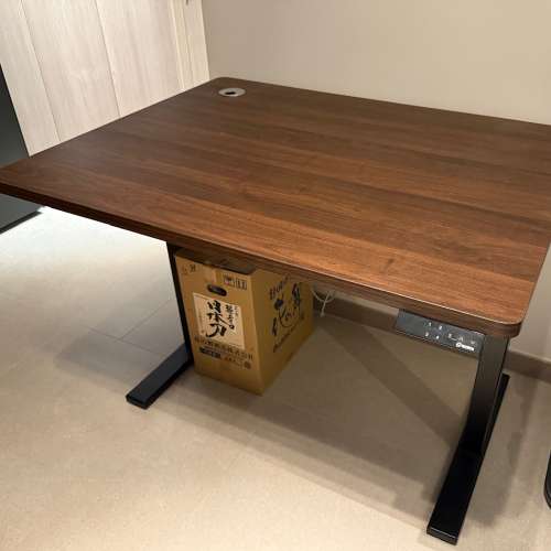 EKOBOR I-Standing Desk 升降枱