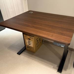 EKOBOR I-Standing Desk 升降枱