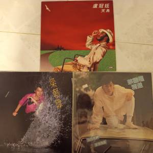 黑膠1