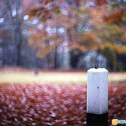 Voigtlander Nokton 50/1.5 老福(prominent用50年代特殊玻璃造)標準鏡的真正皇者 ...