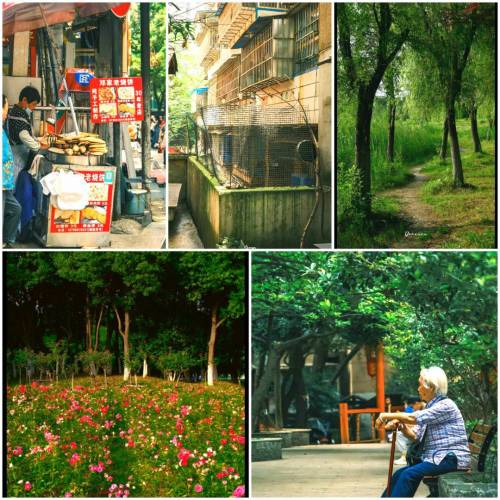 富士相機 XS10租借， ( 💫帶富士膠片調色，反mon自拍，機袋)，🌏連記憶卡，typeC電...