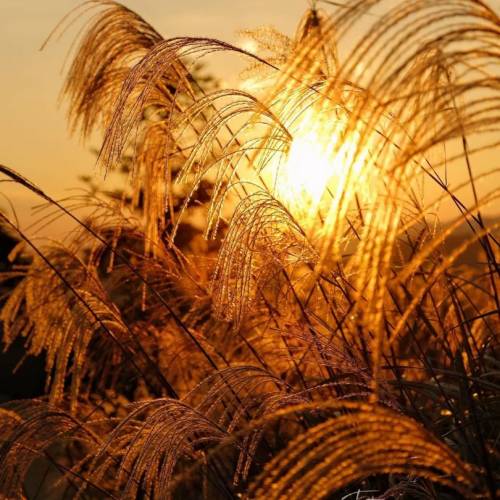 富士相機 XS10租借， ( 💫帶富士膠片調色，反mon自拍，機袋)，🌏連記憶卡，typeC電...