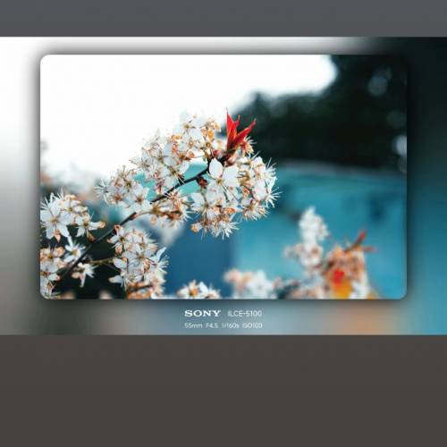 Sony A5100租借 (演唱會/旅行/遊玩/反mon/輕身) ,1650鏡