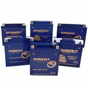 🔋全新Dynavolt 猛獅啫哩電池 各款