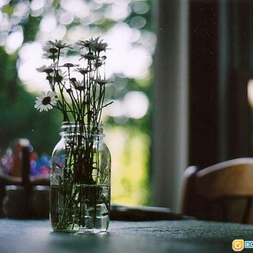 Konica Hexanon AR 50/1.8 具電影鏡式散景，發色漂亮獨特，立体感强烈，又輕又細 A...