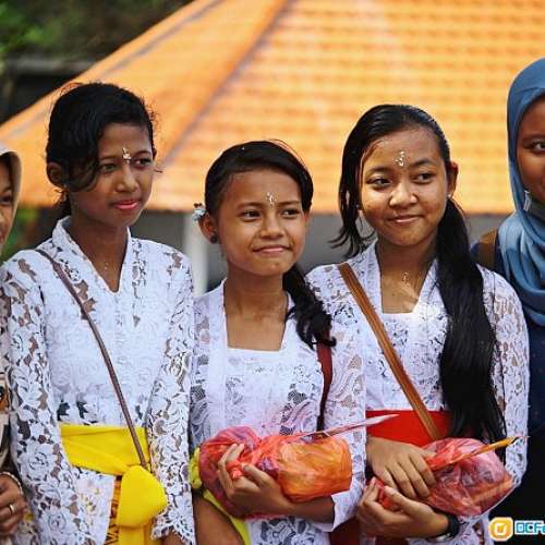 Elgeet Rochester102/2.7(又名柳葉刀)正宗美國電影鏡改 Nikon (高像素A7R3合用)最近...