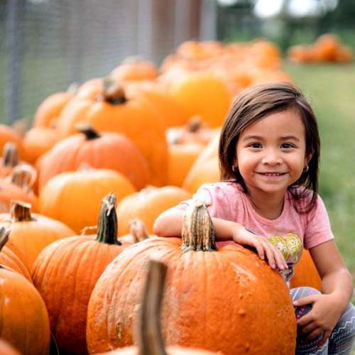 Nikon Nippon Kogaku Nikkor-S P.C 8.5cm f2 (逆光神鏡)S插刀，1951年古董(玻璃達收...