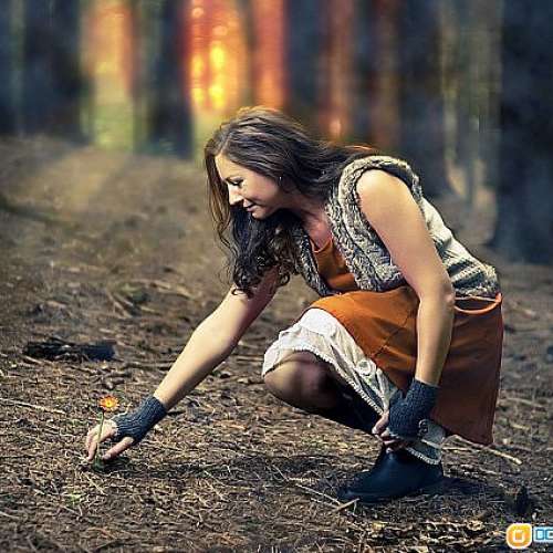 Nikon Nippon Kogaku Nikkor-S P.C 8.5cm f2 (逆光神鏡)S插刀，1951年古董(玻璃達收...