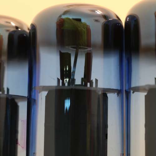 EL34 藍玻璃EL34驅動管(全新)中國制造 出口歐州 購自英國  物超所值