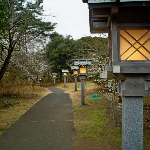 P.Angenieux Paris 28mm f/3.5 Retrofocus Type R11 (改Nikon) 來自法國的最佳廣角鏡