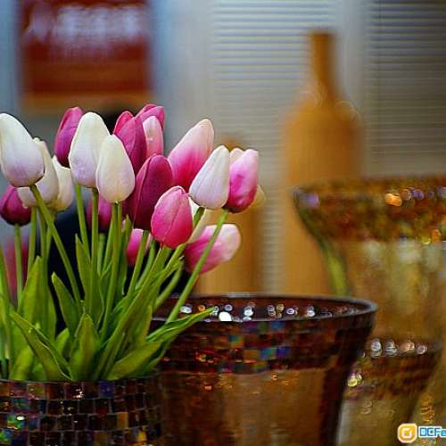 Dallmeyer Telephoto 3" 3.5花體版(改A7)英國無膜電影鏡，成像秀麗，散景迷人，全幅...