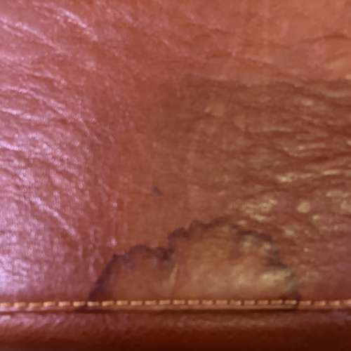 Olympus CBG-9 真皮相機袋