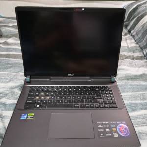 4090 MSI Vector GP78 HX 13VI i9 13980HX 64GB RAM 1TB+512GB SSD 17" Laptop 手提...