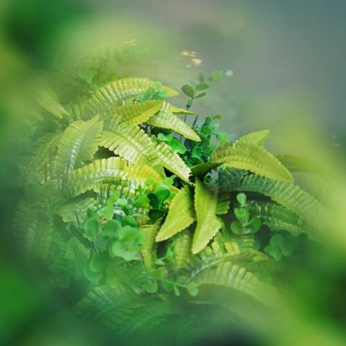 LIPA Center Focus Filter (49mm To 82mm)