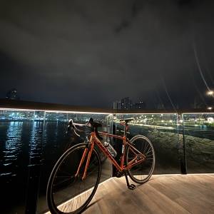 GIANT SCR 公路單車
