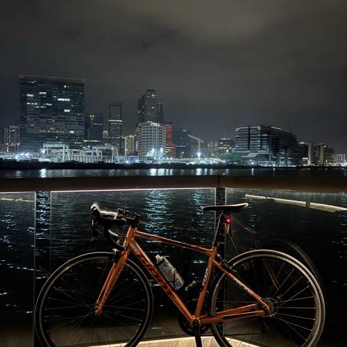 GIANT SCR 公路單車