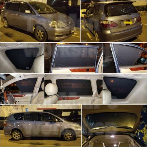 PICNIC IPSUM 全車磁石濾光窗網太陽擋