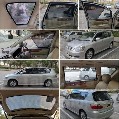 PICNIC IPSUM 全車磁石濾光窗網太陽擋