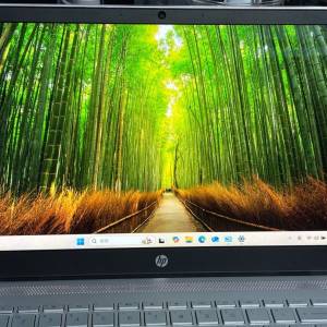 HP Pavilion 14吋 手提電腦 i5-7200U/8GB DDR4/256SSD/Windows 11