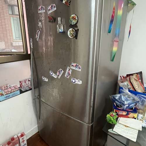 isher & Paykel 雪櫃 Refrigerator 冰箱