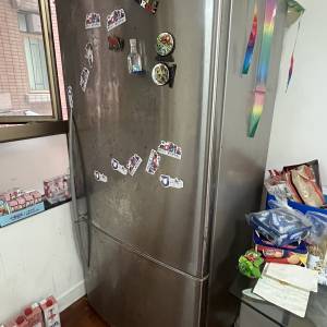 isher & Paykel 雪櫃 Refrigerator 冰箱