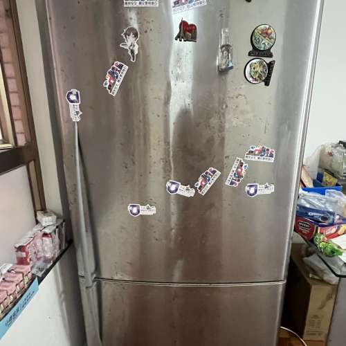 isher & Paykel 雪櫃 Refrigerator 冰箱