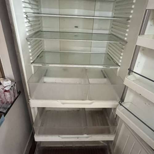 isher & Paykel 雪櫃 Refrigerator 冰箱