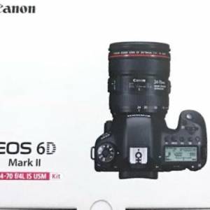 機身: Canon EOS 6D Mark II 鏡頭: EF 24-70 F4 IS USM