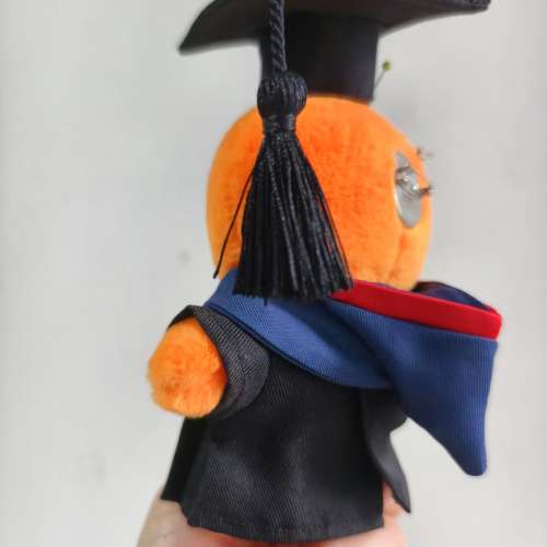 訂製：labubu公仔掛飾專用畢業套裝 $139包畢業帽、畢業袍、畢業證書。［唔包公仔掛...