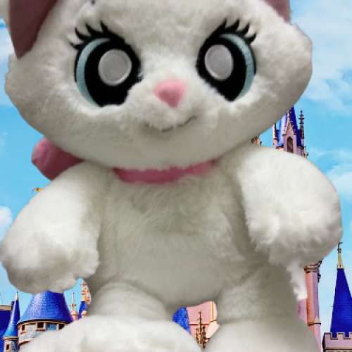 迪士尼絕版、大腳板瑪麗貓公仔 富貴貓公仔 約30至35 cm ‼️‼️睇內文‼️‼️