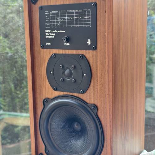 B&W DM5 speakers