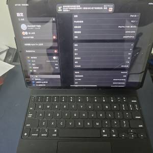 ipad pro 11吋 m1 1tb 16ram