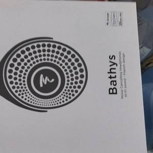 Focal Bathys
