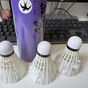 羽毛球三隻