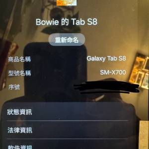 Tab S8 8+256 wifi版