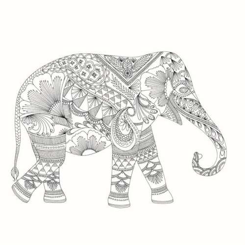 90%NEW 忘憂森林 英國威爾斯大自然療癒著色畫 填色本