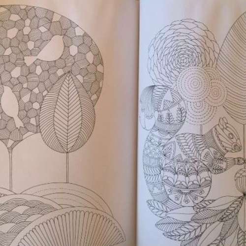 90%NEW 忘憂森林 英國威爾斯大自然療癒著色畫 填色本