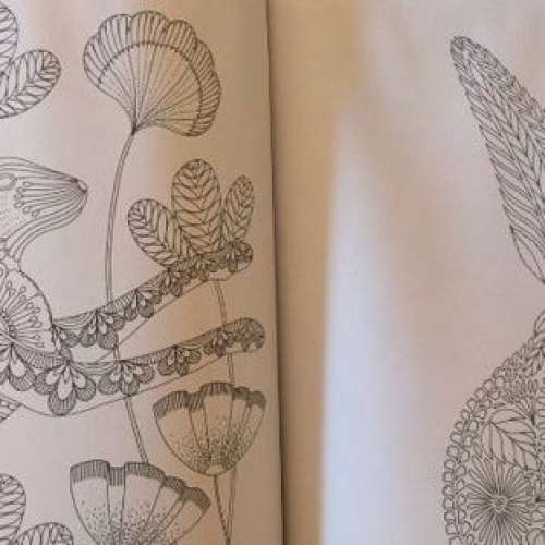 90%NEW 忘憂森林 英國威爾斯大自然療癒著色畫 填色本