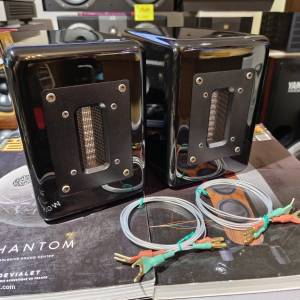 金瑯 Aurum Cantus G2ST 超高音喇叭